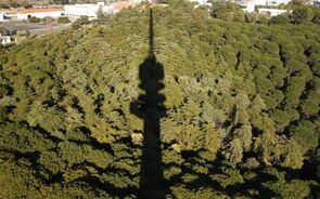 Consulta pública sobre TDT decorre até 26 de Maio