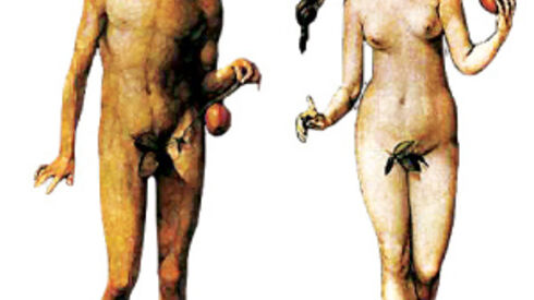 Grande Federação da Glória, província de Portugal, ano 17 depois da Luz (ou 2053 d.C.) 