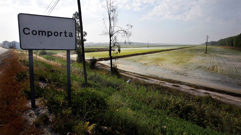 Consórcio de Amorim é mesmo o único candidato à compra da Comporta