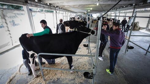 O futuro da Política Agrícola Comum