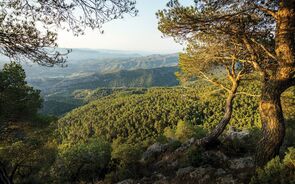 Zero: Portugal já gastou todos os recursos naturais deste ano