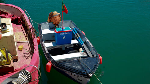 Setúbal: Um concelho com negócios de muitos sabores