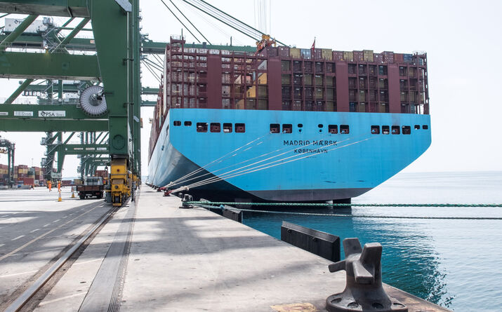 Terminal Vasco da Gama a concurso