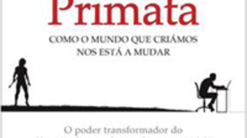 A vida nos escritórios está a fazer crescer-nos os pés?