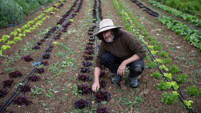 Como a pandemia está a afetar os preços que os consumidores pagam pelos bens agrícolas
