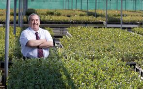 Queiroz Pereira: a longa corrida de PêQuêPê 