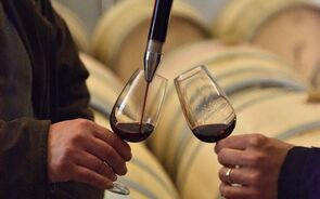 As vindimas de Torre de Palma são uma experiência imersiva