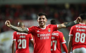 Sondagem: Quase dois terços veem Benfica campeão. Schmidt considerado o melhor treinador